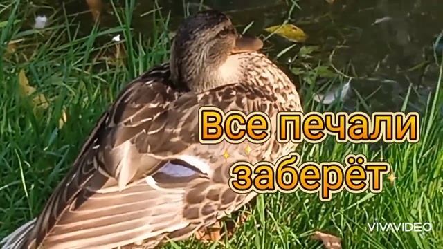 СПАТЬ ПОРА! СПОКОЙНОЙ НОЧИ