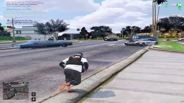 дмчик