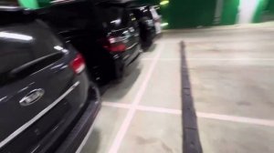 ALPHARD 3. ВОССТАНИЕ МАШИН. УТИЛЬ СБОР. САНКЦИИ. НАС ТАК ПРОСТО НЕ ВОЗЬМЕШЬ :-) TOYOTA АЛЬФАРД