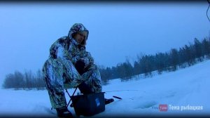 зимний фидер