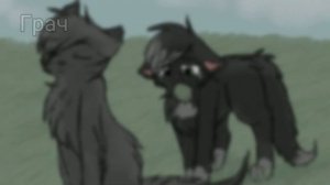 Коты воители в реальной жизни))