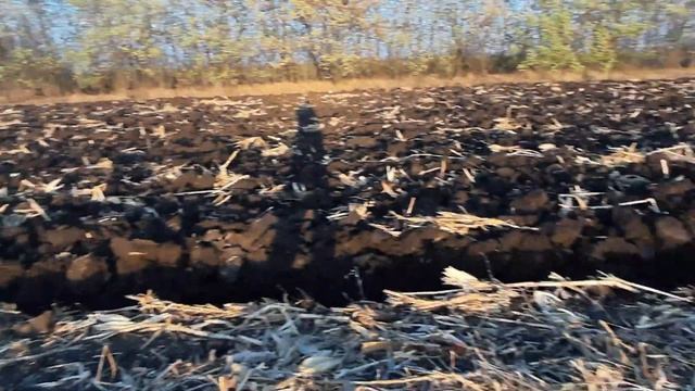 Пахота кукурузы .Мтз 892 и Ловол 1054. Рвём плуги. Запорожская область. смотреть онлайн