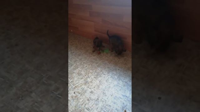 5 декабря 2022 г. смотреть онлайн