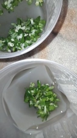 занимаюсь фласками...размываю своих гибридов