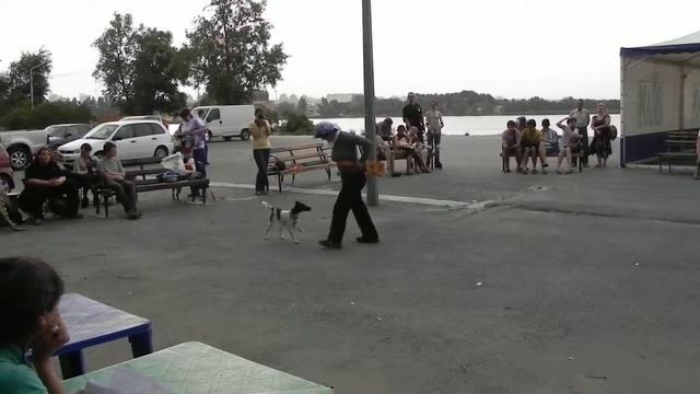 Резниченко Дарья и Юмэ смотреть онлайн