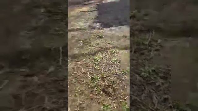 чуча дулан ☎️ смотреть онлайн