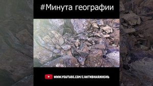 Аметистовый берег #shorts
