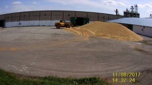 Уборочная. Работаю на зерно току   Буртование погрузка зерна