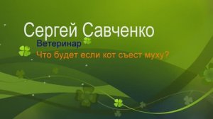 Если кошка ест мух, что будет