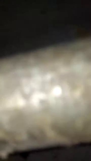 Голубь смотреть онлайн