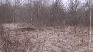 Фрагментище! подъем взрячую. Добыч