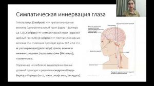 Черепные нервы: глазодвигательная группа (3, 4, 6 пары ЧМН). Анатомия, функция и дисфункция.