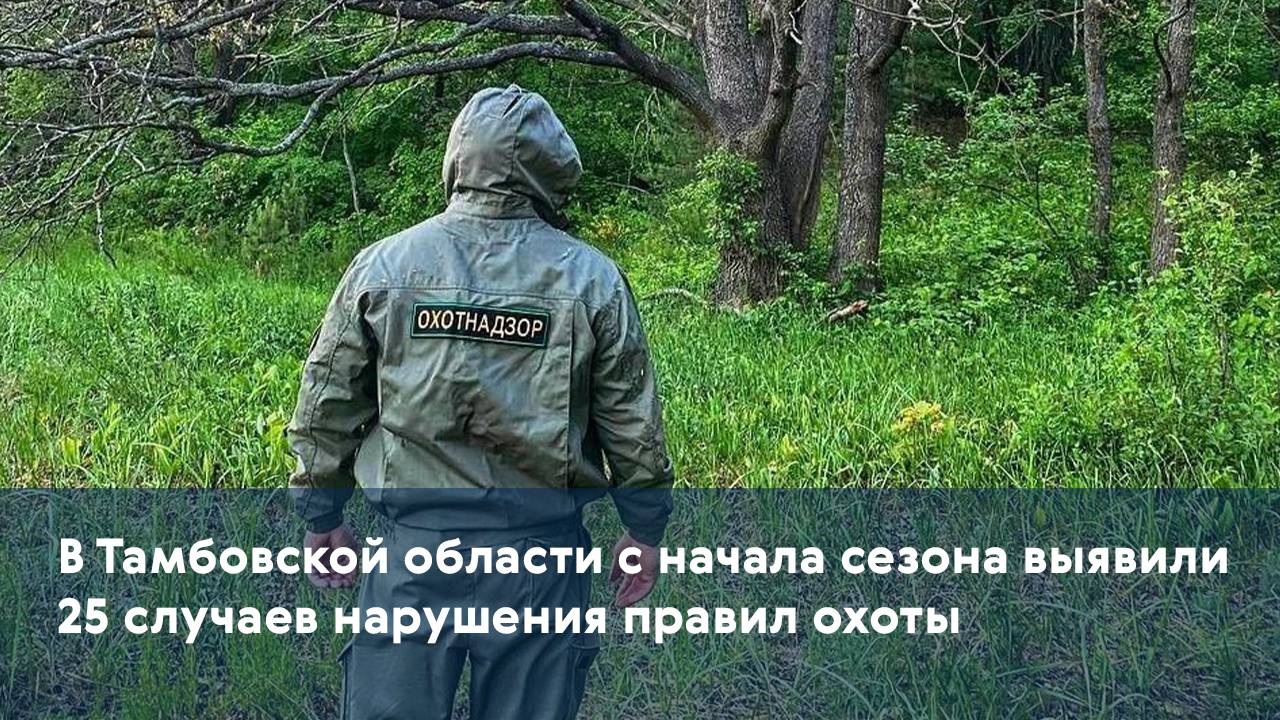 В Тамбовской области с начала сезона выявили 25 случаев нарушения правил охоты