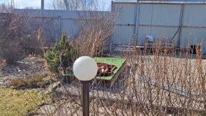#22 Утро туманное. Голос пропал. Клубника. Вспомнила про баню