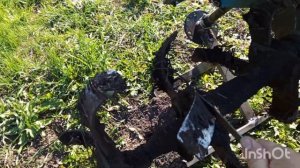 Вспашка и посадка картофеля мотоблок ом.