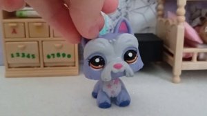 LPS：распаковка #2🌱☁