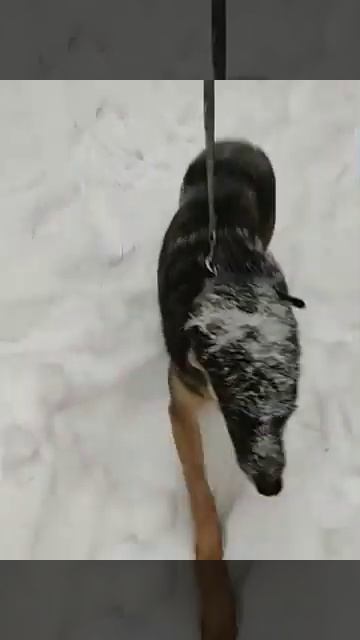 VID 20211212 WA0006 смотреть онлайн