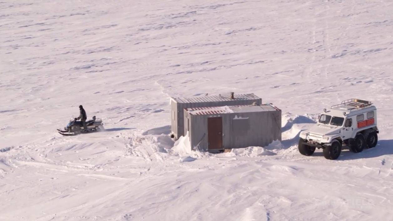 Институт экологии растений и животных УрО РАН Лабытнанги