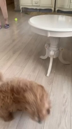 1000231699.mp4