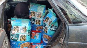Передаем помощь для приюта в Луганске от Ассоциации СОС Донбасс