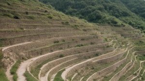 Варианты ландшафтного дизайна участка проект и реализация - Советы по дизайну участка