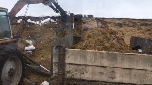 Погрузка силоса. ЮМЗ-6 грейфер Мтз-82.1
