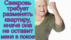 Свекровь требует разменять квартиру, иначе она не оставит меня в покое. Истории из жизни