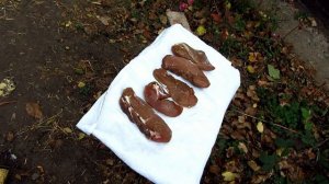 Рецепт копчение мяса. Свинина в коптильне горячего копчения