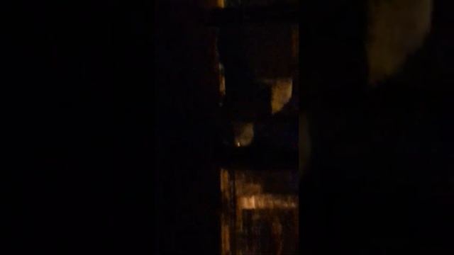 кабан ночью-московский район смотреть онлайн