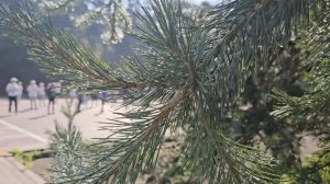 KenbuKokoro / Летний выезд