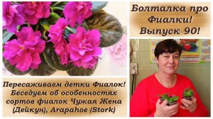 Болталка про Фиалки! Выпуск 90! Пересаживаем детки Фиалок! Беседуем об особенностях сортов фиалок!