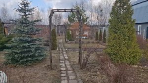#21 На дачу. Счастье из маленьких радостей. Березовый сок