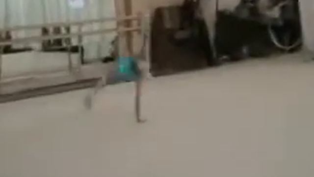 Зеленова Лиза Бп смотреть онлайн