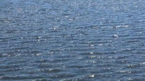 Никополь.Каховское водохранилище