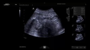 FHD 09.10.2023_ Ветшева Н.Н.