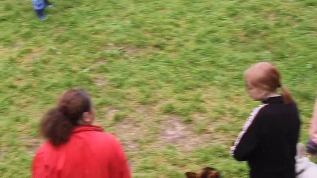 г. Соликамск (Пермс. край), 17.08.2019, веселые старты смотреть онлайн