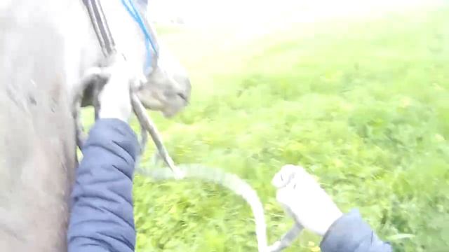 Школе Дарчи ровно 1 год! Всё, что осталось за кадром | HORSE FAIL смотреть онлайн