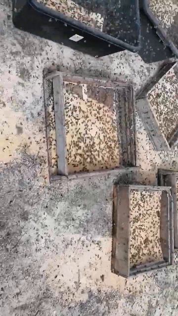 Белок весна 2022... смотреть онлайн