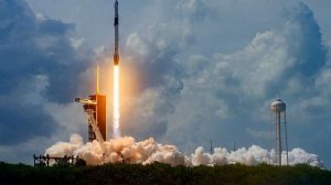 Elon Max's Virtual Children Ask for Help