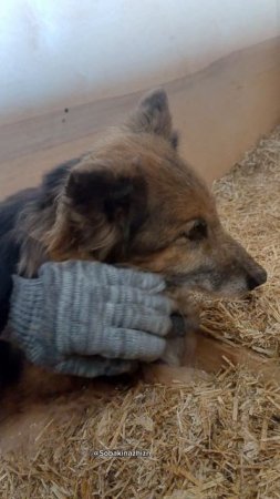 Не все узнают, что такое дом