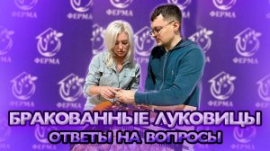 Ответы на вопросы: Бракованные луковицы