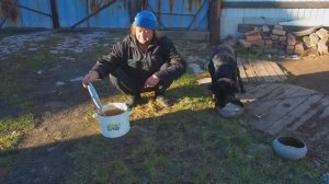 Потратила пол пенсии ничего не купила КУЛИНАРИЯ ИЗ ДЕРЕВНИ сын-трутень все ест и спит ПОДВАЛ ИЛЬИЧА