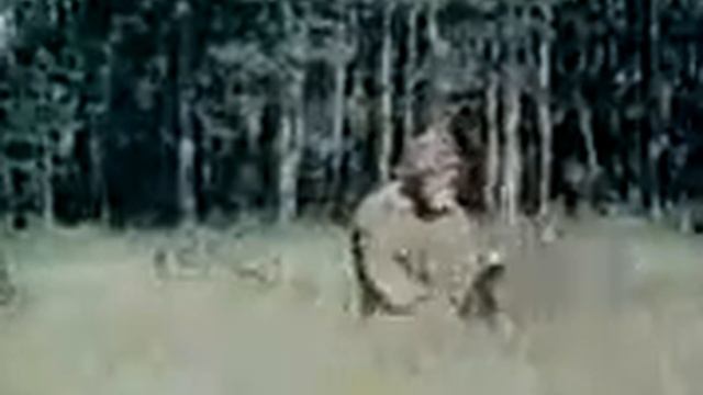 The Life And Times Of Grizzly Adams.Legendado Pt Br By LIRO 6/7 смотреть онлайн