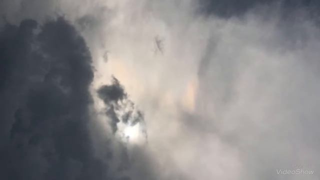 Peach- Pink- Purple смотреть онлайн