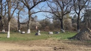 На ул. Рядновой в г. Крымске продолжается  строительство парка