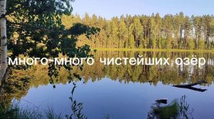 д. Заполье, Псковская область.mp4