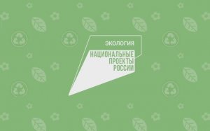 Экология. Лесные пожары. Спасаем лес с Бодо Бородо. Учимся играя.
