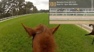 GoPro: Eternally Barrier trial Warwick Farm