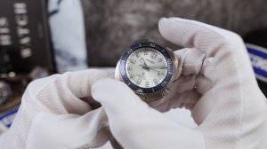 This Dial will STUN YOU! (Seiko SPB301)