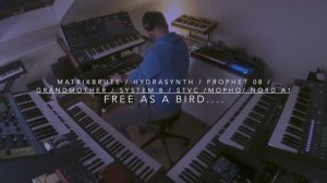 Free As A Bird....... Uplifting Sunday Morning Session